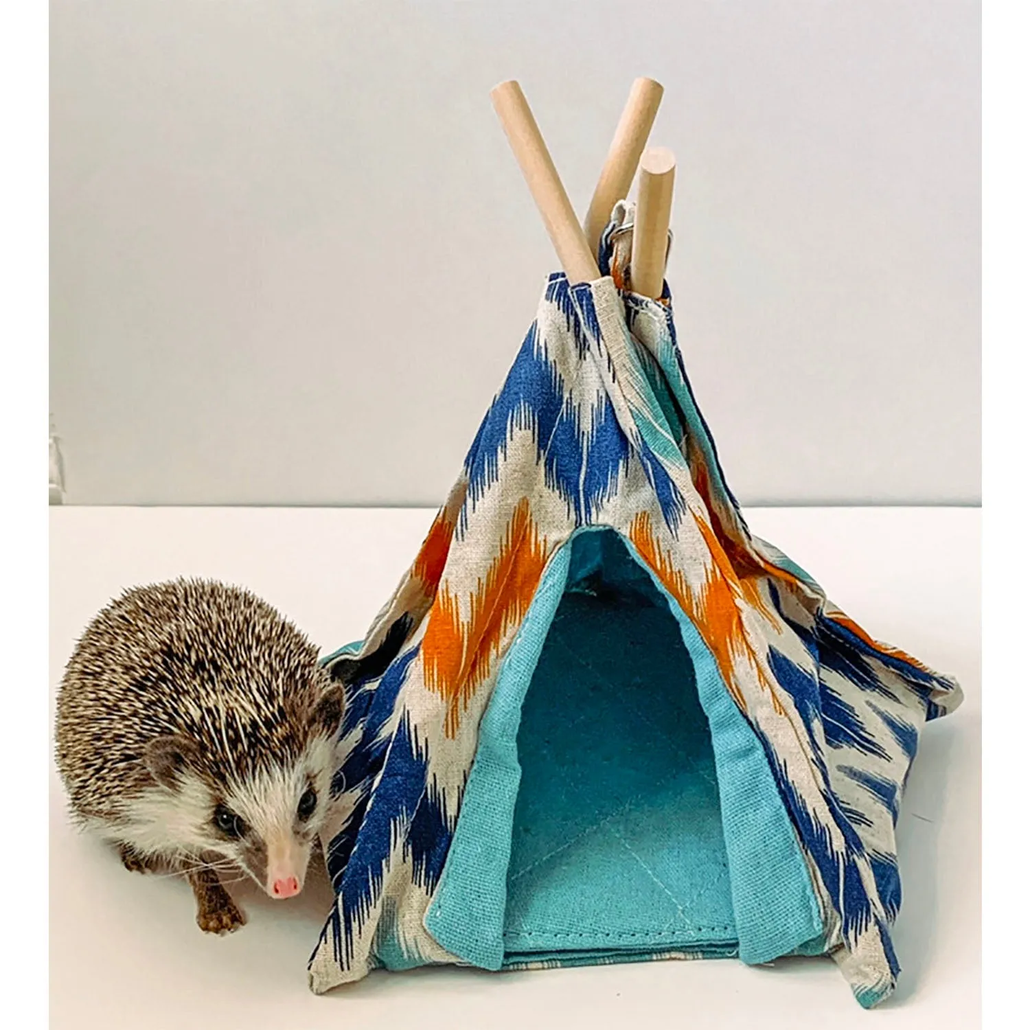 Teepee Tent