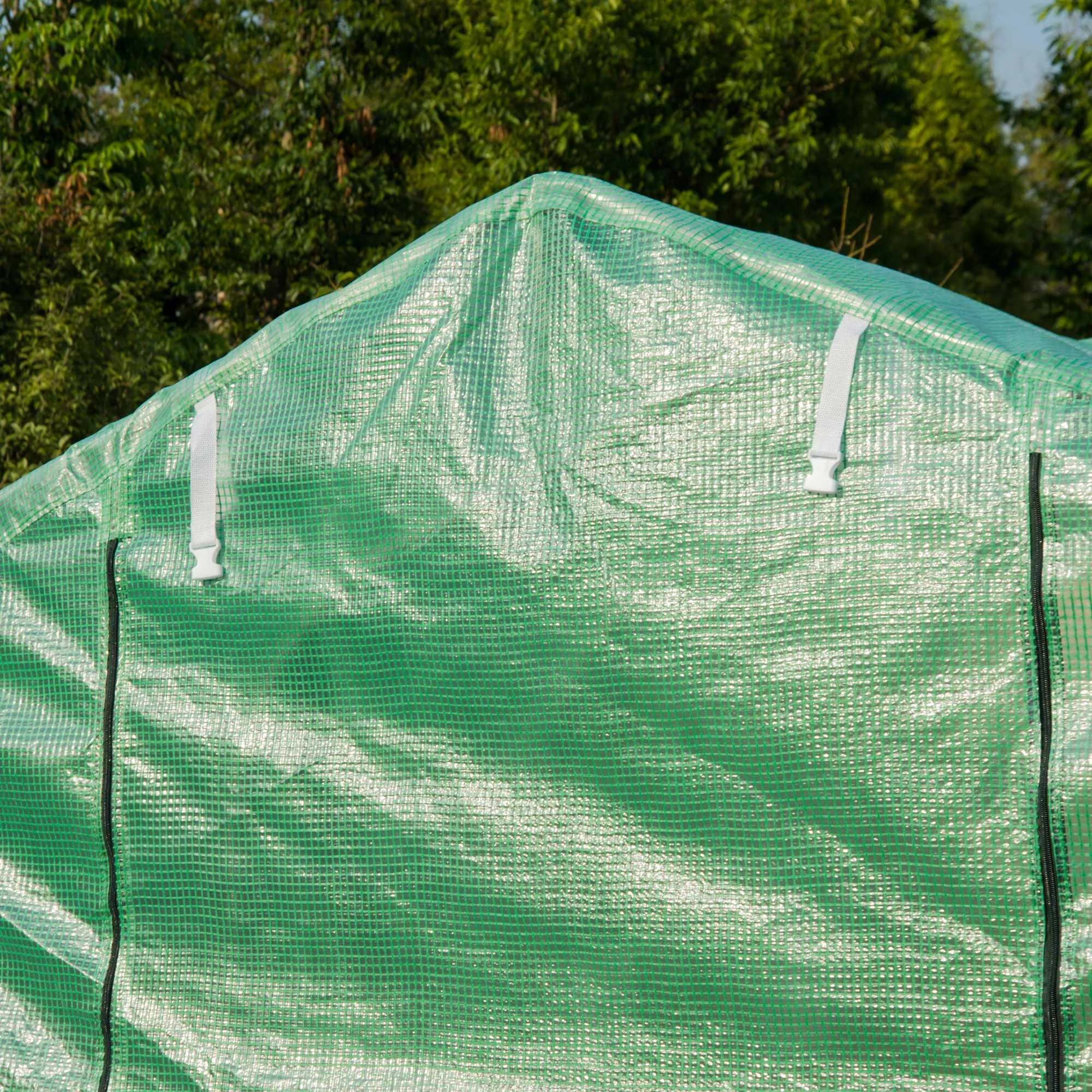 Walk in Polytunnel Greenhouse with Windows and Door for Garden, Backyard (3 x 2M)